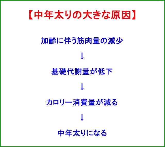 中年太りの大きな原因イメージ